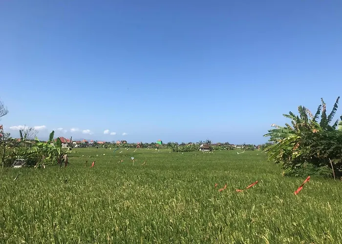 Yoga ケテウェル